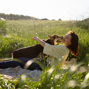 Soothing White Noise Serenade: Serene Pets Chill and Harp Soundscapes