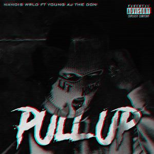 Pull Up (feat. Young AJ The Don) [Explicit]