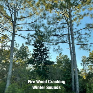 Fire Wood Crackling