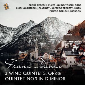 3 Wind Quintets, Op. 68 - Quintet No.3 in D Minor, Andante (Live)
