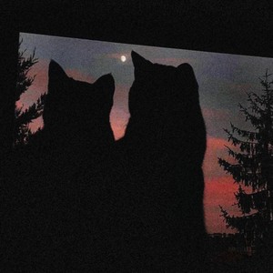 salt (Slowed & Reverb)