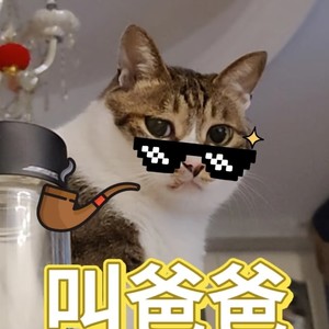 为啥之歌（为啥管你爸叫爸为啥管你妈叫妈）