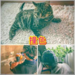 撞色(feat. CheukLung & Timnawty) (Explicit)