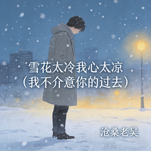 雪花太冷我心太凉 (我不介意你的过去)封面