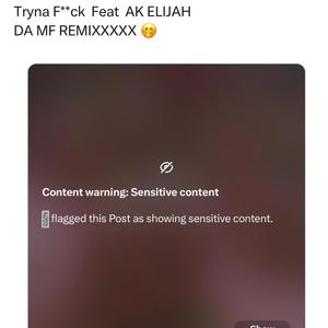 Tryna **** 2 (feat. Akil Elijah) (Explicit)