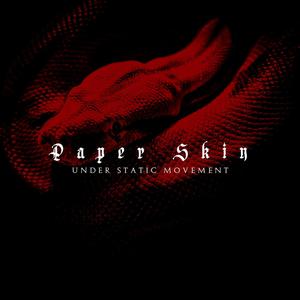 Paper Skin
