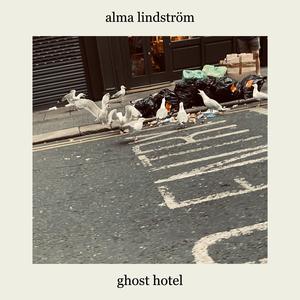 Have You Seen The Crows?