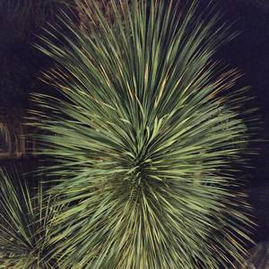 Wake Up And Still Dark