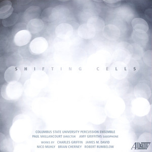 Fist Through Traffic