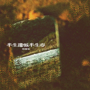 半生遗憾半生梦