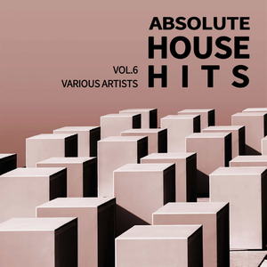 Various Artists - Absolute House Hits Vol.6