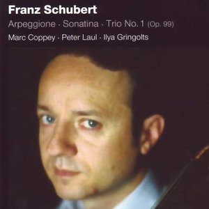 Franz Schubert: Arpeggione, Sonatina, Trio No. 1 (op. 99)