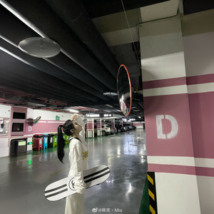 每年桃花开的时候 (Remix)