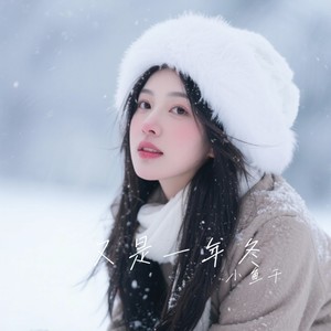 又是一年冬别来无恙