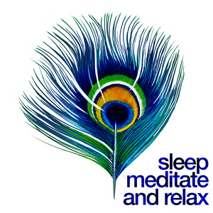 Sleep: Meditate and Relax