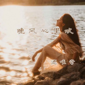 德唯奇 - 晚风心里吹 (粤语DJ版)