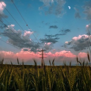 悲しみこそ人生の常態である