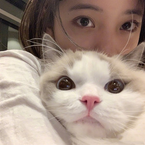 爱总是身不由己