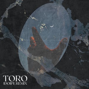 Toro (Remix)