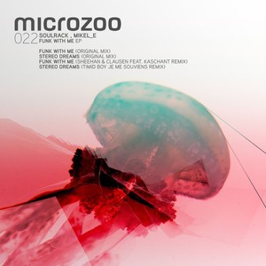 Stereo Dreams (Timid boy Je me souviens Remix)