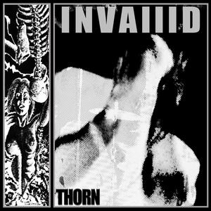 Thorn