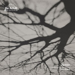 Shadows (Extended Version)