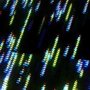 AA. Skipped Beats And The Silent Exchanges, We Weep In The Dim Lit Laser Traces