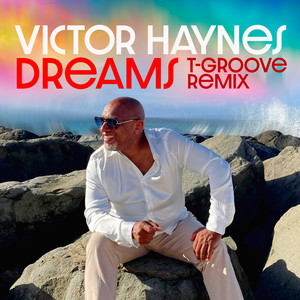 Dreams (T-Groove Remix)