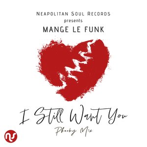 I Still Want You (Neapolitan Soul & Luciano Gioia Phunkymental Mix)