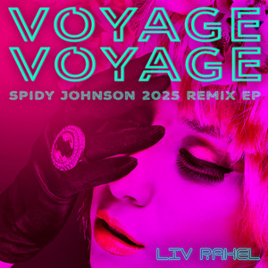 Voyage Voyage (Spidy Johnson's Stray Cat Instrumental)