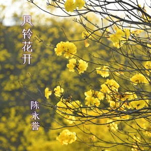 风铃花开 (伴奏)