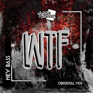 WTF (Original Mix|Explicit)