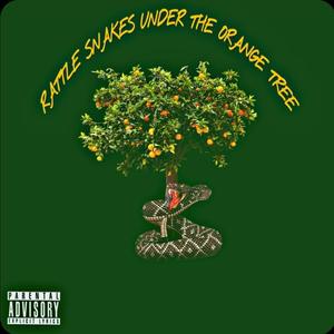 DEMONSTRATE (RATTLE SNAKE UNDER THE ORANGE TREE) (Explicit)