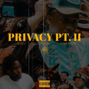 Privacy, Pt. 2 (Explicit)