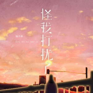 怪我打扰了