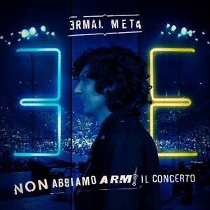 Non abbiamo armi - Il concerto