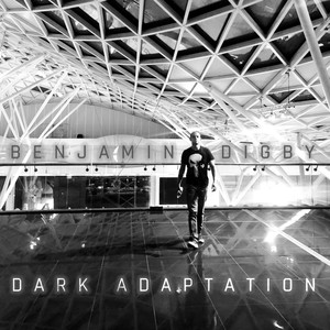 Dark Adaptation