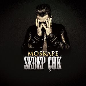 Sebep Çok