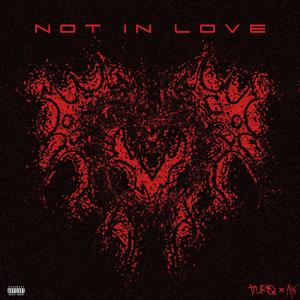 Not in love (feat. AK) [Explicit]