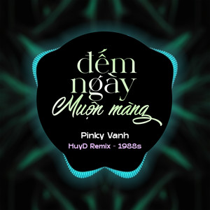 Đếm Ngày Muộn Màng (HuyD Remix)