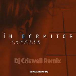 In Dormitor (DJ Criswell Remix|Remix)