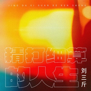 精打细算的人生 (DJ京仔版伴奏)