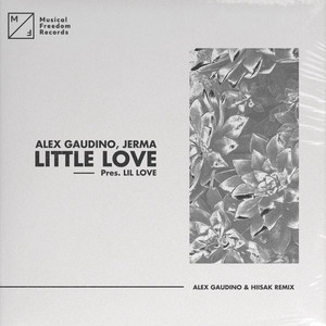 Little Love (pres. Lil' Love) (The Remixes)