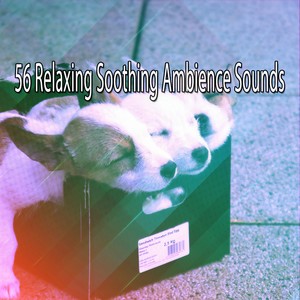 Almost Silent But Violent