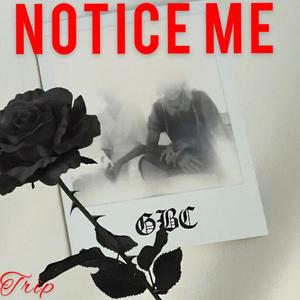 Notice Me (Explicit)