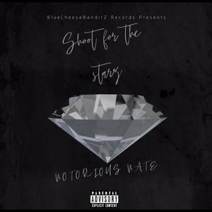 Shoot For The Starz (Explicit)