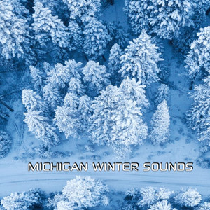Michigan Winter Sounds