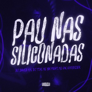 Pau nas Siliconadas (Explicit)