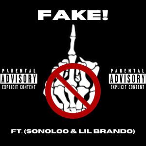 FAKE! (feat. SoNoLoo & Lil Brando) [Explicit]