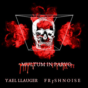 Multum in Parvo(feat. Yael Llauger)